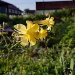 Kerstin By Interhome Appartement Neundorf (Thuringia)