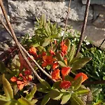 Kerstin By Interhome Appartement *