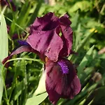 Appartement Kerstin By Interhome *