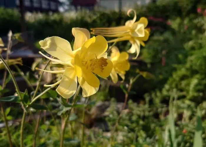 Kerstin By Interhome Apartment Neundorf (Thuringia)