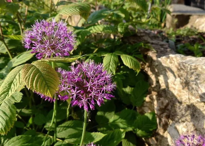 Kerstin By Interhome Apartment Neundorf (Thuringia)