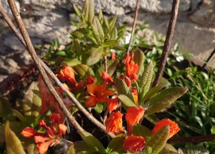 Kerstin By Interhome Apartment *