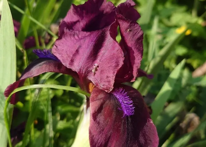 Apartment Kerstin By Interhome *